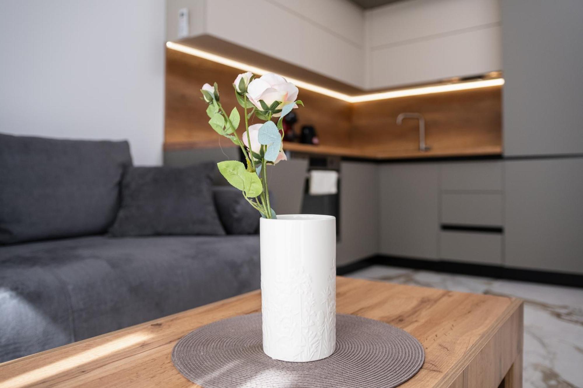 Modern 1-Bedroom Apartments Płowdiw Zewnętrze zdjęcie